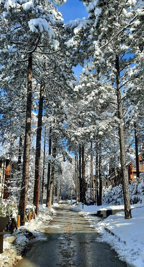 Apartment Erak Hill Zlatibor Esterno foto